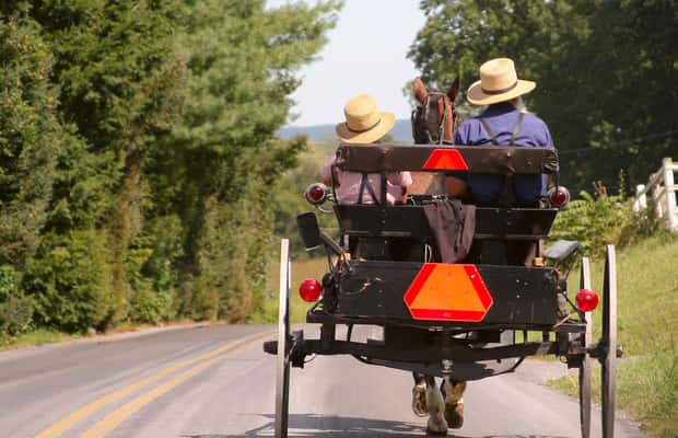 image n.1 of مقاطعة لانكستر: مزارع الأميش، جولة في المتحف، زيارة المزرعة activity in لانكستر، بنسلفانيا, uploaded by supplier