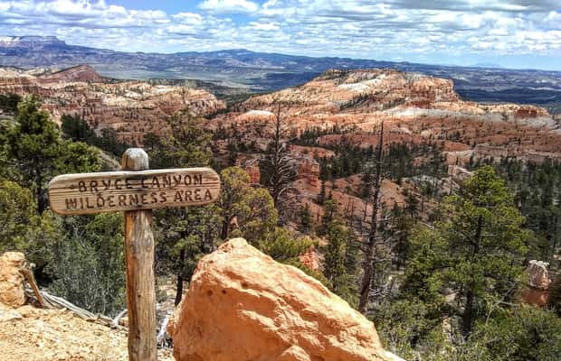 image n.1 of Bryce: Guided Sightseeing Tour of Bryce Canyon National Park activity in Utah, uploaded by supplier