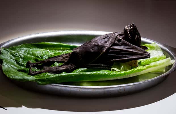 Malmö: Eintritt ins Disgusting Food Museum – Ekel, Kultur & Kurioses