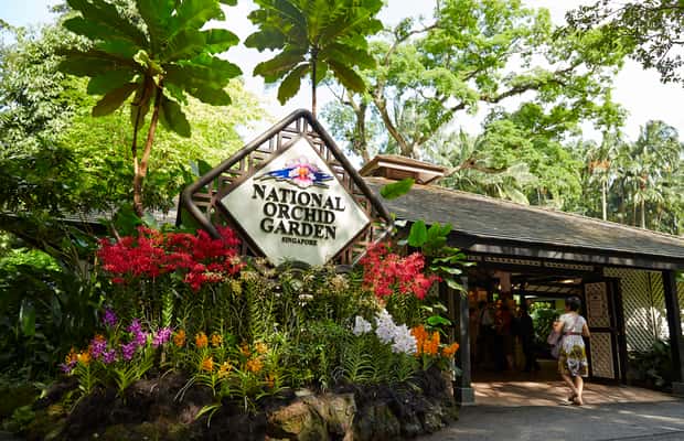 Immagine nº 1 di Singapore: biglietti d'ingresso al giardino nazionale delle orchidee attività a Singapore, caricata dal fornitore