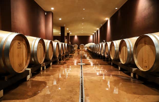 image n.1 of Lake Garda: Wine Tour and Tasting Experience in Bardolino activity in Lombardy, uploaded by supplier