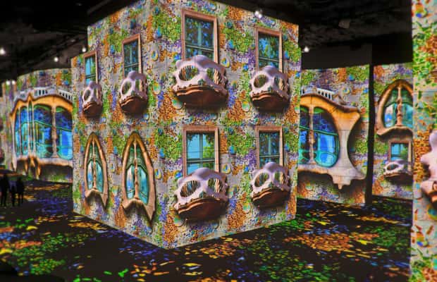 imagem n.1 de De Avignon: excursão de meio dia Van Gogh e Carrières de Lumières atividade em Saint-Rémy-de-Provence, carregada pelo fornecedor