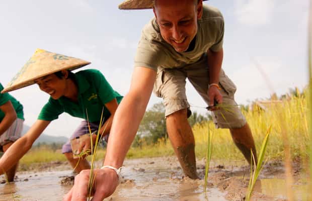 image n.1 of Luang Prabang: Rice Farm and Kuang Si Waterfall Tour activity in Luang Prabang, uploaded by supplier