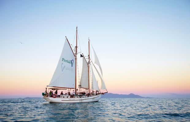 image n.1 of Airlie Beach: Providence Whitsundays Tallship Sunset Sail activity in Airlie Beach, uploaded by supplier
