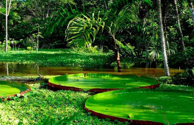 slika br. 1 iz kolekcije 3D Eco Magic Ecoamazon Lodge Puerto Maldonado - Tambopata aktivnosti u mjestu Puerto Maldonado, prenio opskrbni partner