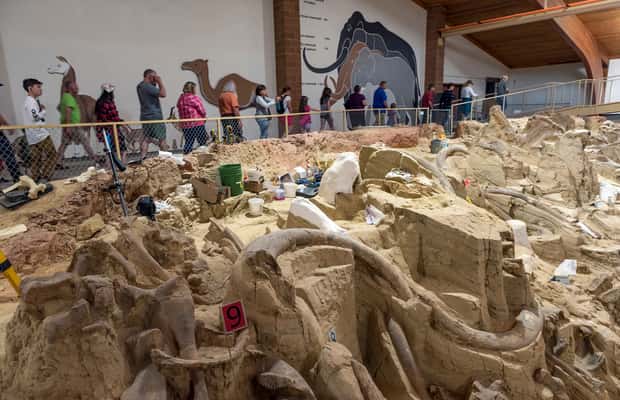 1. attēls no Buffalo Jeep Safari un Mamutu apskate aktivitātes Karstie avoti, Dienviddakota, augšupielādējis partneris