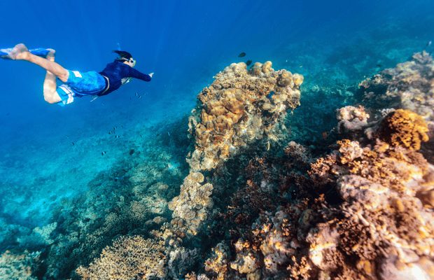 image n.1 of From Dubai: Snorkeling Trip to Dibba Al-Fujairah activity in Dubai, uploaded by supplier