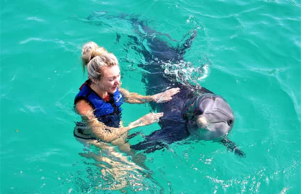 image n.1 of Saint Thomas: Swim with Dolphins at Coral World Ocean Park activity in Smith Bay, St Thomas, uploaded by supplier