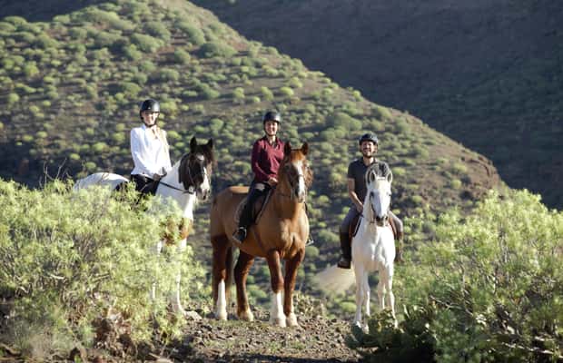 imagen n.º 1 de El Salobre: aventura a caballo con opciones de traslado actividad en Maspalomas, subida por el proveedor
