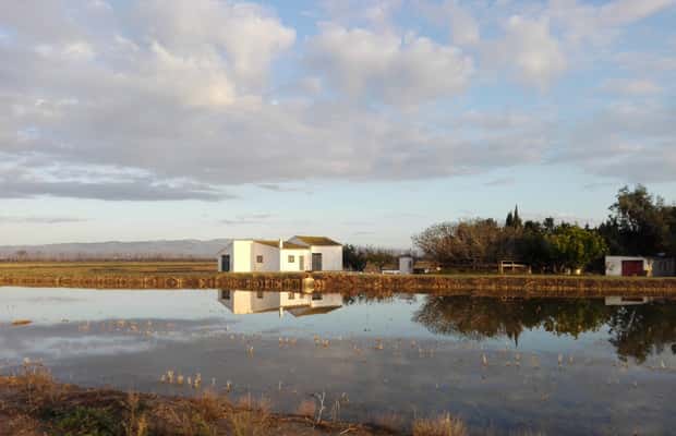imagen n.º 1 de Delta del Ebro: Tour guiado por el Delta Norte con un local actividad en Cataluña, subida por el proveedor