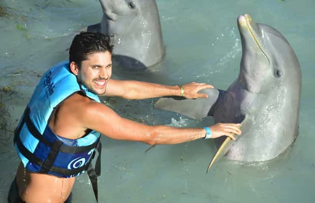 image n.1 of Cancun: Dolphin Encounter on Isla Mujeres and Garrafon Park activity in Quintana Roo, uploaded by supplier