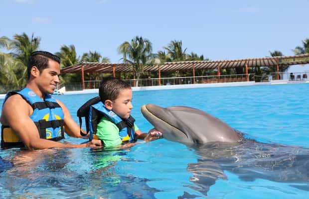image n.1 of Riviera Maya: Dolphin Encounter with Beach Club Access activity in Quintana Roo, uploaded by supplier