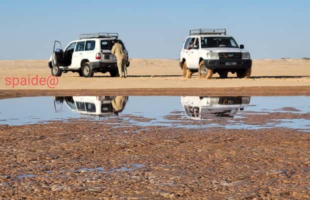 imatge núm.1 de l'activitat de De Tozeur: Tour de 2 dies pel Sàhara amb nit en tenda i trekking en camell a Governació de Tozeur, penjada pel proveïdor