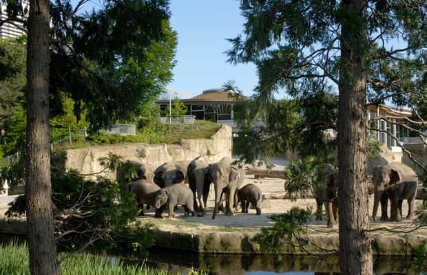 imagem n.1 de Colônia: ingresso para o zoológico e aquário de Colônia atividade em Colônia, Alemanha, carregada pelo fornecedor