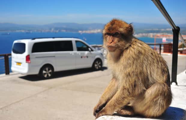 Immagine nº 1 di Gibilterra: Tour privato dei punti salienti con biglietti d'ingresso attività a Gibilterra, caricata dal fornitore