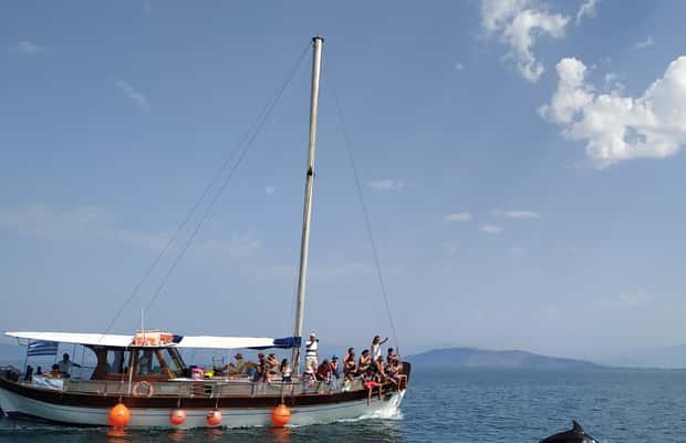 billede nr.1 af aktiviteten Preveza: Delfinsafari med frokost og drikkevarer i Preveza, uploadet af udbyder