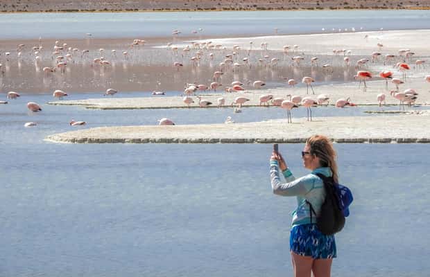 image n.1 of From Uyuni: Red Lagoon & Uyuni Salt Flats 3-Day Guided Tour activity in Sur Lipez Province, uploaded by supplier