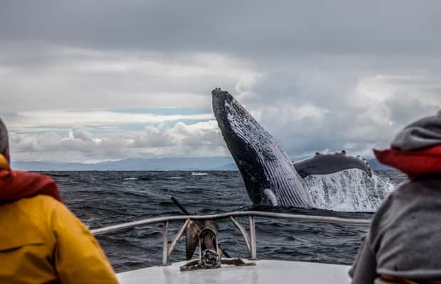 image n.1 of Anchorage: Kenai Fjords & Denali National Park 5 Day Tour activity in Anchorage, uploaded by supplier