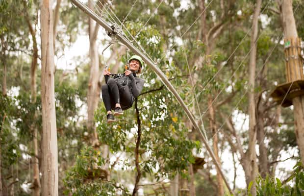 image n.1 of Lorne: Live Wire Park Ticket with Zip Line Rollercoaster activity in Lorne, uploaded by supplier