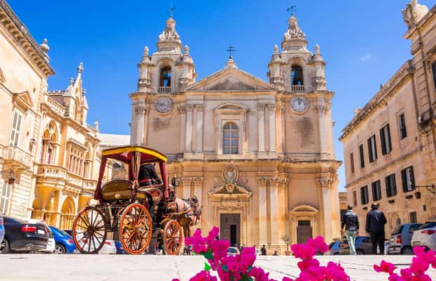 image n.1 of Malta: Mdina, Dingli Cliffs and San Anton Botanical Gardens activity in Valletta, uploaded by supplier