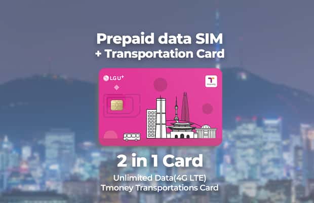 Image N°1 de Aéroport d'Incheon : Traveler SIM et carte de transport T-money activité à Séoul, publiée par le prestataire