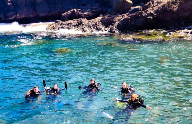 image n.1 of Tenerife: 2-Dive Private Scuba Discovery Course activity in Costa Adeje, uploaded by supplier