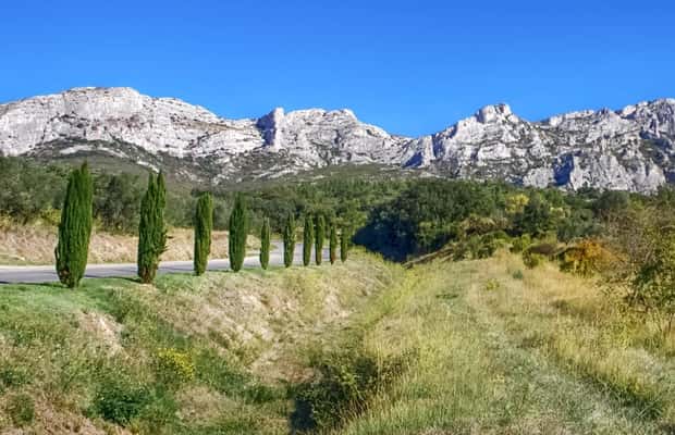 imagem n.1 de De Marselha: Excursão de 1 dia aos vinhos de Les Baux de Provence atividade em Saint-Rémy-de-Provence, carregada pelo fornecedor