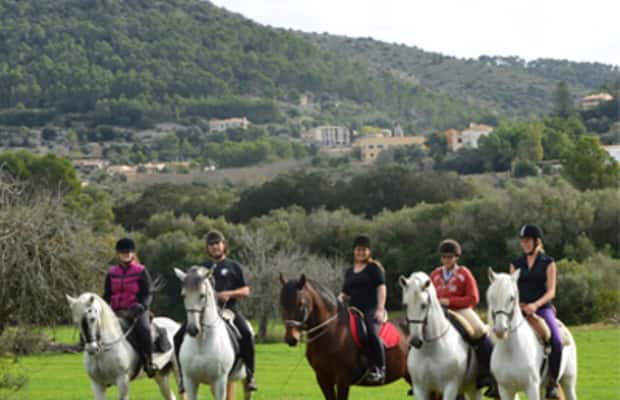 image n.1 of Mallorca: Guided Horseriding Tour of Randa Valley activity in Randa, uploaded by supplier