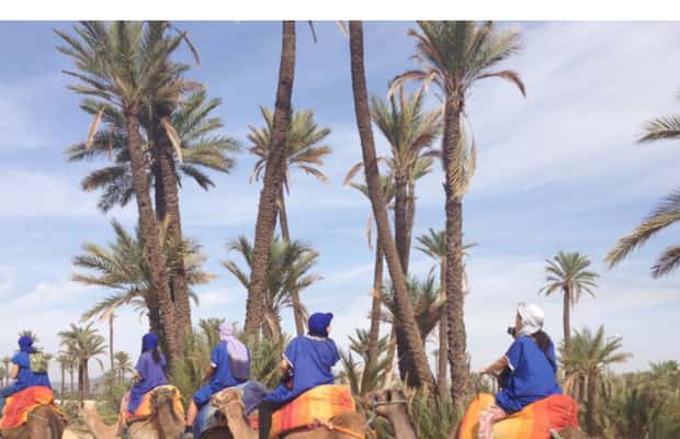 imagen n.º 1 de Alrededores de Marrakech: Paseo en camello por palmerales con té incluido actividad en Marrakech, subida por el proveedor