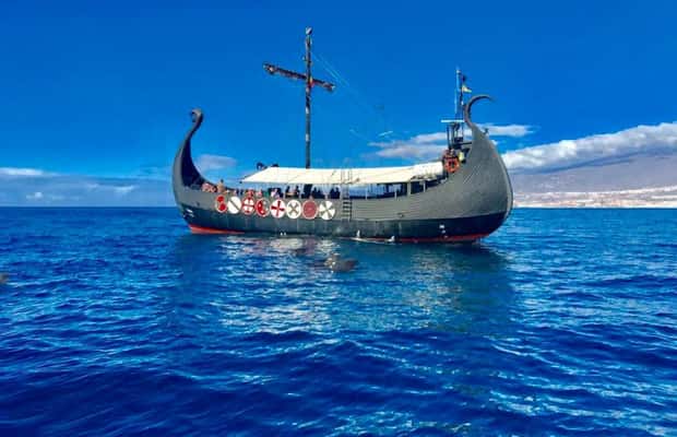 Bild Nr. 1 von Los Cristianos: Wal- und Delfinbeobachtung auf einer Viking-Kreuzfahrt Aktivität in Adeje, hochgeladen vom Anbieter