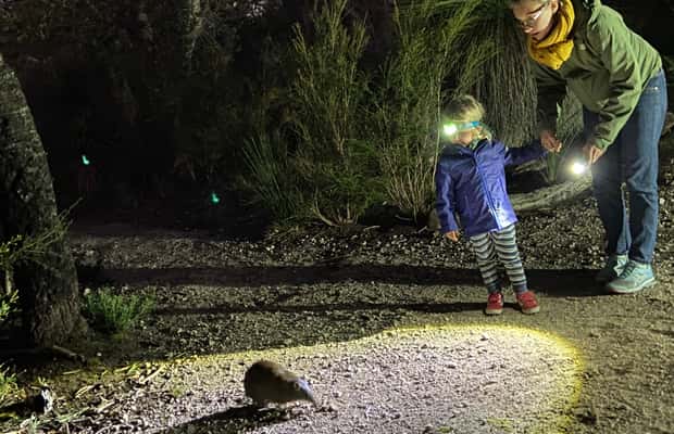 image n.1 of Busselton: Nocturnal Animal Tour activity in Busselton, uploaded by supplier