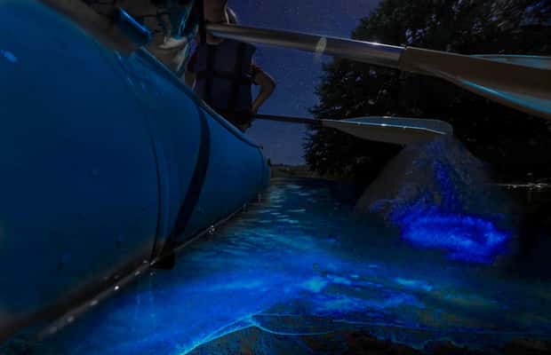 image n.1 of Cocoa Beach: Bioluminescent Paddle Raft Tour activity in Merritt Island, uploaded by supplier