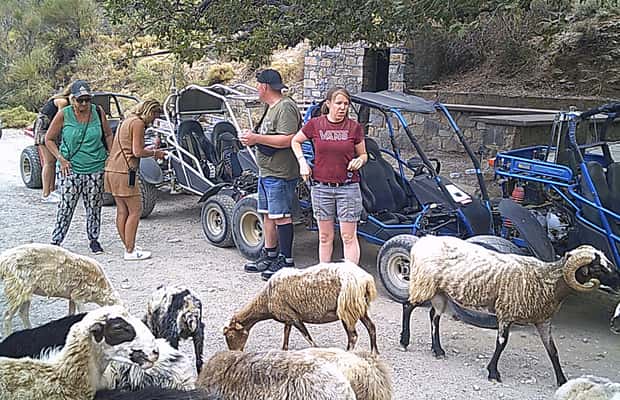 image n.1 of Buggy safari Crete (Transfer and lunch) analipsi- hersonisos activity in Neapolis, Crete, uploaded by supplier