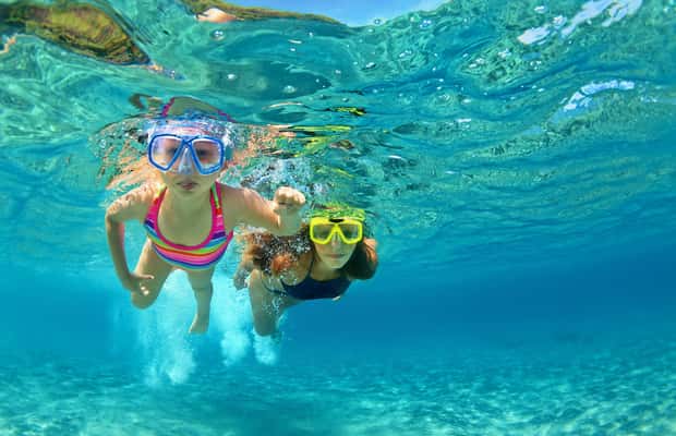 image n.1 of Destin: Snorkeling Cruise with 2 Stops and Dolphin Watching activity in Destin, uploaded by supplier
