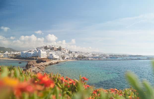 image n.1 of From Naxos: Delos and Mykonos Full-Day Trip by Catamaran activity in Naxos Town, uploaded by supplier