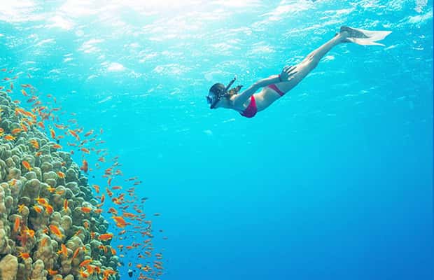 image n.1 of Phu Quoc: Speedboat Tour of 4 Islands with Snorkeling & BBQ activity in Vietnam, uploaded by supplier