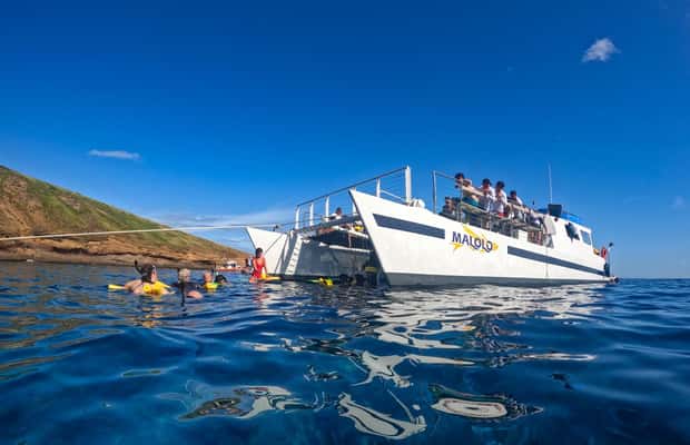 image n.1 of South Maui: Snorkel to Coral Gardens or Molokini Crater activity in Maalaea, uploaded by supplier