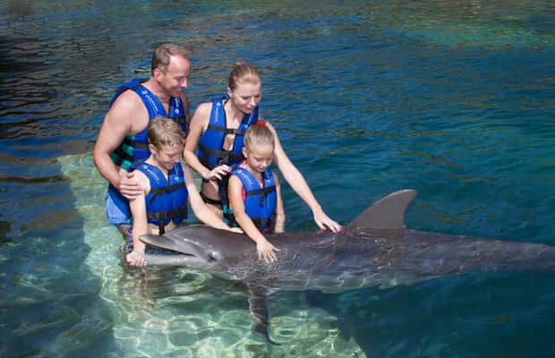 image n.1 of Puerto Morelos: Swim with dolphins Primax activity in Puerto Morelos, uploaded by supplier