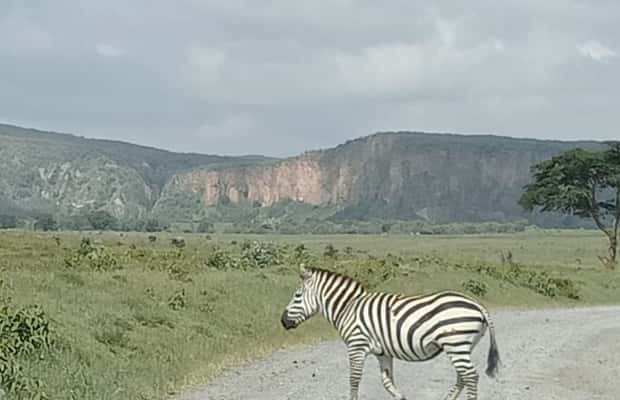 image n.1 of DAY TOUR- LAKE NAIVASHA AND HELL'S GATE PARK-WITH PARK FEES activity in Nakuru, uploaded by supplier