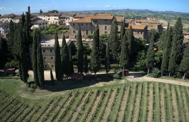 Bild Nr. 1 von Bio-Wein- und Lebensmittelverkostung in der historischen Fattoria Majnoni Aktivität in San Gimignano, hochgeladen vom Anbieter