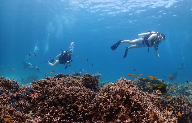 image n.1 of From Phuket: 3-Day SSI/PADI Open Water Diver Certification activity in Gulf of Thailand, uploaded by supplier