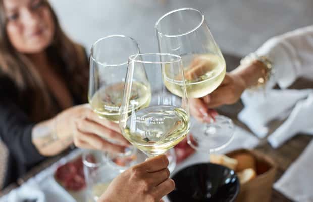 Obraz nr 1 z atrakcji Desenzano: Degustacja wina i zwiedzanie winnicy Lugana w Lombardia, przesłany przez organizatora