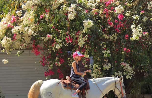 image n.1 of Sayulita: Horseback Riding Tour activity in Sayulita, uploaded by supplier