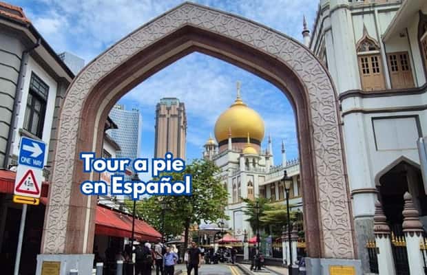 Bild Nr. 1 von 3-stündiger Rundgang durch Chinatown, Little India und die Arab Street auf Spanisch Aktivität in Singapur, hochgeladen vom Anbieter