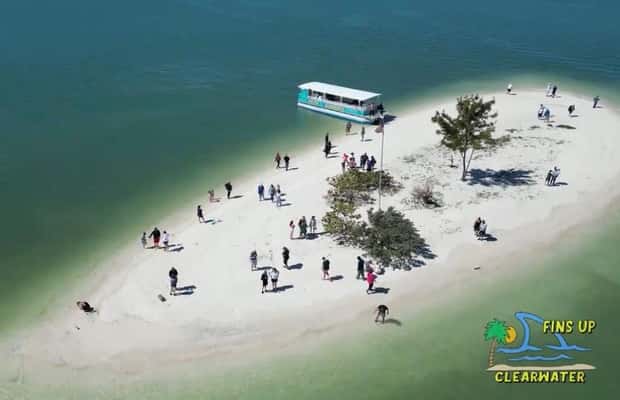 bild nr.1 av Clearwater Beach: Kryssning med delfiner och sandbankar på öar aktivitet i Clearwater, uppladdad av arrangören
