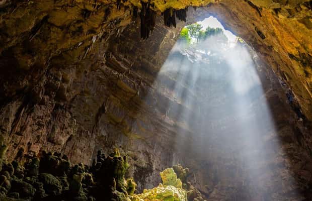 Bild Nr. 1 von Führung durch die Grotten von Castellana Aktivität in Castellana Grotte, hochgeladen vom Anbieter