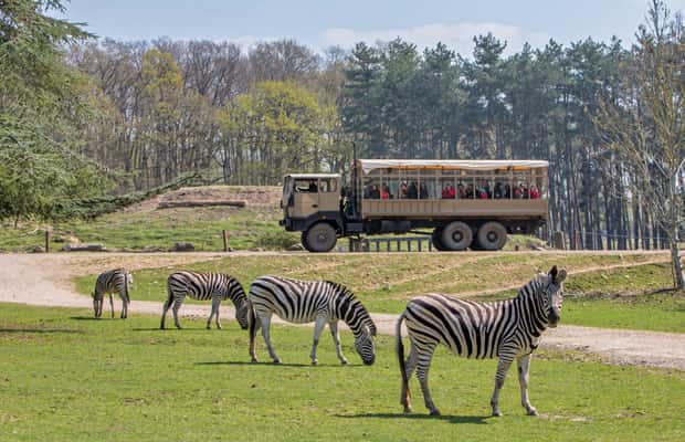 bild nr.1 av Från Paris: Safari i Thoiry Park och rundtur i slottet aktivitet i Montfort-l'Amaury, uppladdad av arrangören