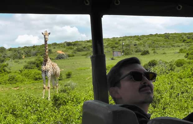 image n.1 of Port Elizabeth:2-Day Schotia Safaris & Addo Wildlife Reserve activity in Eastern Cape, uploaded by supplier