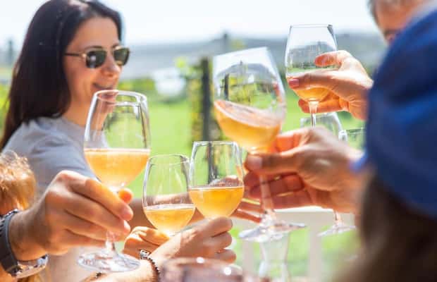 image n.1 of Buenos Aires: Wine Pairing and Lunch at Gamboa Vineyard activity in Campana, uploaded by supplier