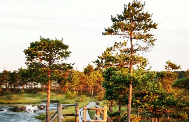 image n.1 of Kemeri National Park Bog Trail near Riga activity in Jurmala, uploaded by supplier